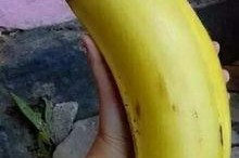 大香蕉国产区,揭秘国产影视产业的魅力与风采